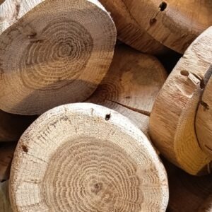 Petits rondins de bois (lot de 10)