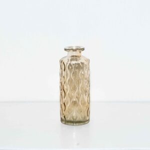 Soliflores orange (lot)