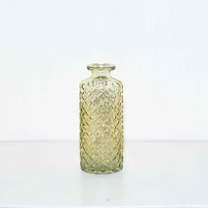 Soliflores vert olive (lot)