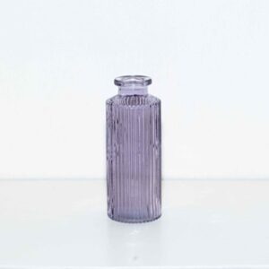 Soliflores violet (lot)