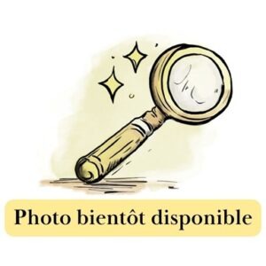 Bassine en zinc décorative